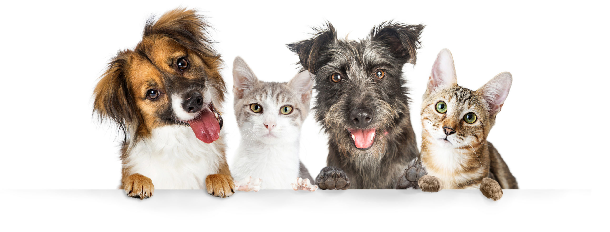 canstockphoto58945328_scaled.jpg